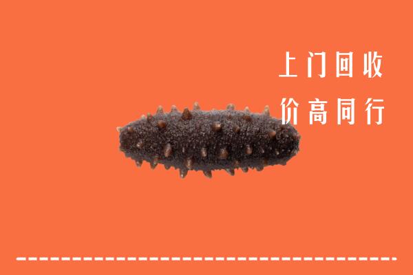 高价求购：番禺区回收海参