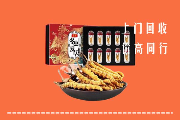 番禺区回收虫草